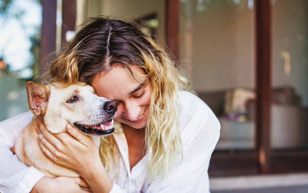 Pet Loss Counselor Training How to Guide Others Through Grief with Compassion and Confidence